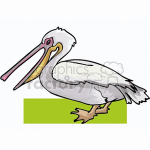 A colored clipart image of a pelican, featuring a white body, a long pink beak with a yellow pouch, standing on a green surface.