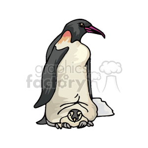 A clipart image of an adult penguin standing protectively over a chick. The adult penguin has a black and white body with a distinct orange patch near its neck, while the chick is gray and white, nestled safely under the adult.