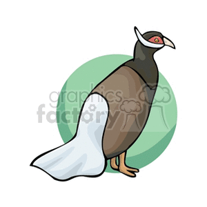 A clipart image of a pheasant bird with a brown body, white tail feathers, and red facial markings, set against a green circular background.