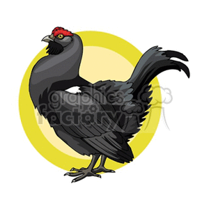 Illustration of a black rooster with a prominent red comb, standing with a yellow circle in the background.