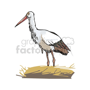 Clipart image of a stork standing on a nest.