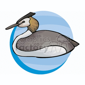 A clipart illustration of a grebe bird with a blue circular background.