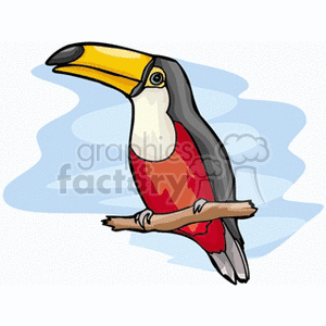 A colorful toucan perched on a branch in the illustration, featuring a large yellow beak and vibrant red, white, and black plumage.