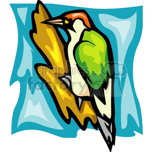 Colorful clipart of a woodpecker perched on a tree branch with a blue background.