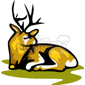 Abstract white-tailed buck resting on green grass