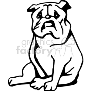 Bulldog Illustration