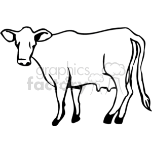 Black and White Cow Image - Farm Animal