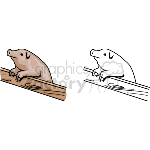 The clipart image shows two cartoon-style pigs, each situated on a wooden plank. The pig on the left is colored pink/brown with shading to suggest a three-dimensional form, while the pig on the right is depicted in a simple black and white line art style. Both pigs appear to be content and resting.