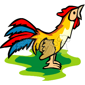 The clipart image depicts a colorful rooster standing on what appears to be a patch of green, which could represent grass. The rooster is illustrated in a cartoon style, with prominent features such as a red comb and wattles, a yellow body, and a blue and red tail.