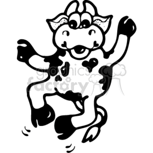 Black and white dancing cow