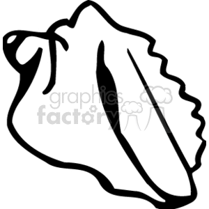 black and white outline of a sea shell