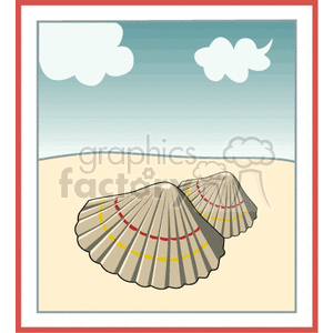 Seashell on the beach