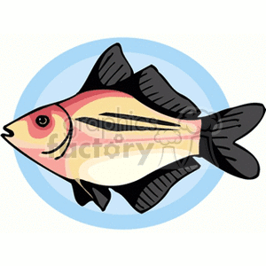 fish157