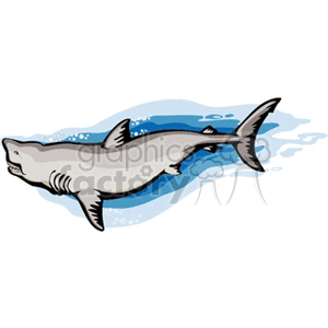 Cartoon Shark Illustration - Marine Animal