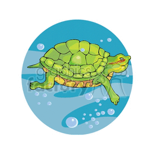 Cartoon Turtle Swimming Underwater