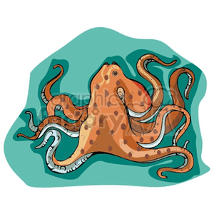 Colorful Octopus Illustration - Marine Life