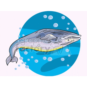 The clipart image displays a stylized illustration of a whale swimming underwater. The whale is depicted within a circular frame, surrounded by an aquatic blue background that includes bubbles, suggesting the ocean environment.