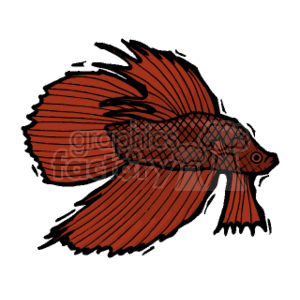 Download Betta Fish Clipart Commercial Use Gif Wmf Svg Clipart 132707 Graphics Factory