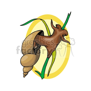 The image shows a colorful clipart of a snail. The snail has a brown body with a light brown and cream-colored spiral shell and is clinging to green vegetation, possibly a leaf or a plant stem.