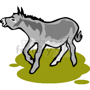 5_donkey
