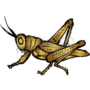 Illustration of a locust in a natural pose.