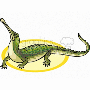 Cartoon Crocodile