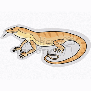 Cartoon Lizard - Colorful Reptile