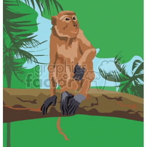 Clipart image of a monkey sitting on a tree branch with a tropical background.