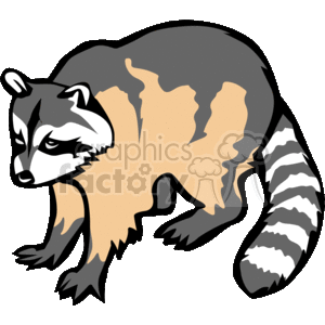 The image is a clipart of a raccoon. It features the characteristic black mask around the eyes, striped tail, and a body with shades of gray and brown.