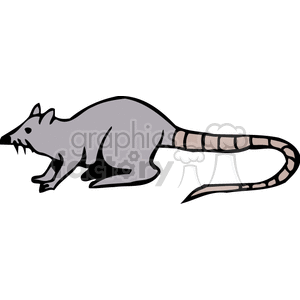 The clipart image depicts a stylized illustration of a rat. The rat is colored in shades of gray, with distinctive features like a long tail with a banded pattern, pointed ears, and a snout.