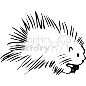 The image is a black and white clipart illustration of a porcupine. The porcupine is depicted with a large number of quills on its back, which is a characteristic feature of these rodents.