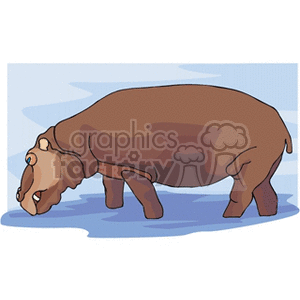 Clipart image of a brown hippo standing in water with a light blue background.