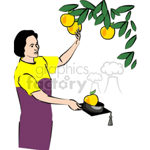 Cartoon female student picking apples holding a cap