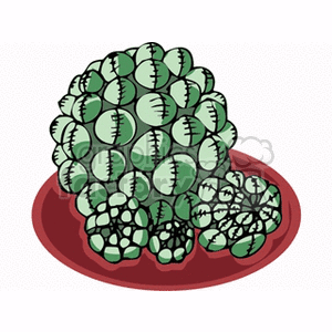 An illustration of a cactoid plant with rounded clusters in a pot.