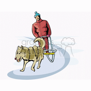 Clipart image of a person in winter clothing sledding with a husky dog on a snowy path.