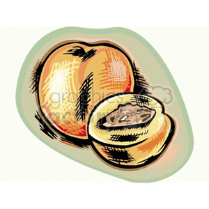 A sketch-style clipart image of whole and halved peaches, showcasing texture and color.