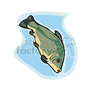 Clipart illustration of a fish with green and beige coloring.