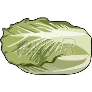 Clipart image of a single green cabbage with detailed leaves.