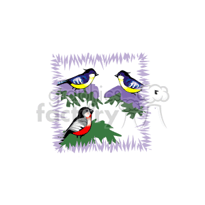 This clipart image features two blue and yellow birds and one bird with red detailing perched on the branches of a pine tree.