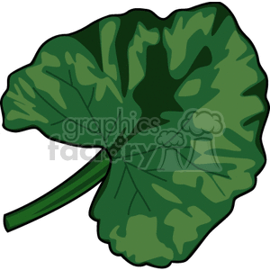 Green Leaf Illustration