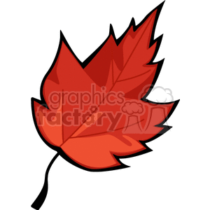 Red Autumn Leaf