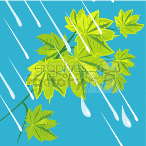 The clipart image shows a group of bright green leaves from a tree with raindrops falling on and around them against a blue background, illustrating rainy weather conditions.