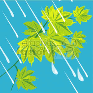 Rainy Day with Green Tree Leaves