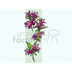 Illustration of pink bell flowers on a green stem with leaves.