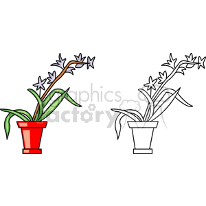 Potted Plant with Purple Flowers