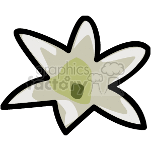 Clipart image of a stylized edelweiss flower with bold outlines.