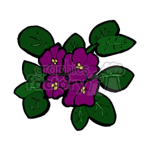 Purple Flowers with Green Leaves