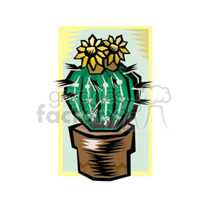 cactus171212