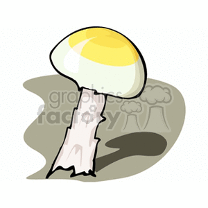 mushroom11