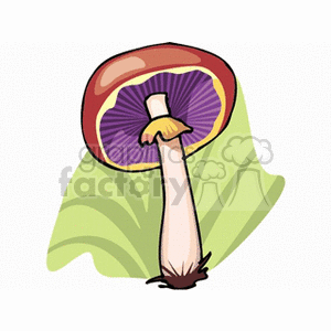 mushroom32
